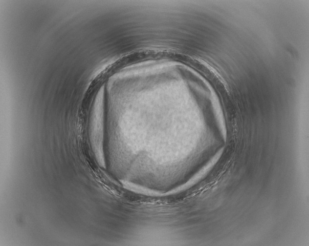 X0000115730823200912031404