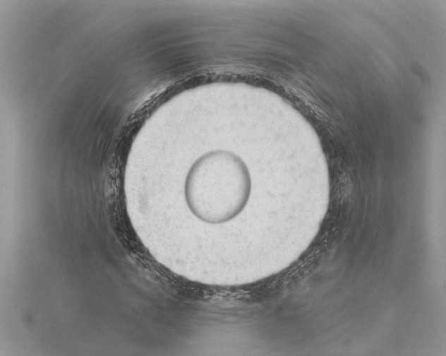 X0000115730824200912031404