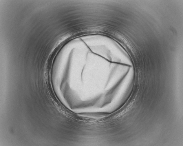 X0000115730827200912031404