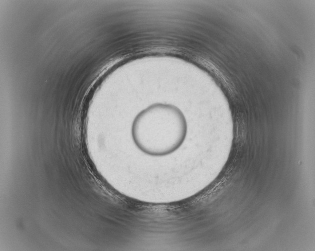 X0000115730828200912031404