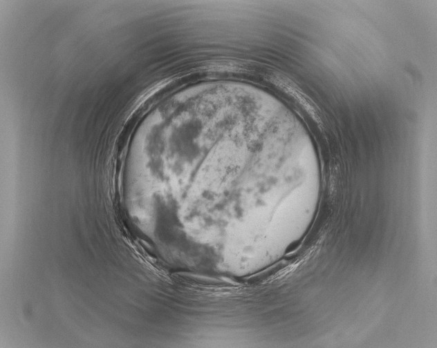 X0000115730829200912031404