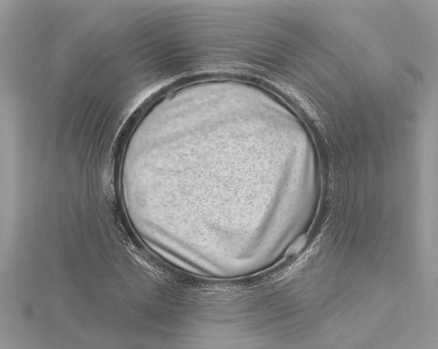 X0000115730830200912031404