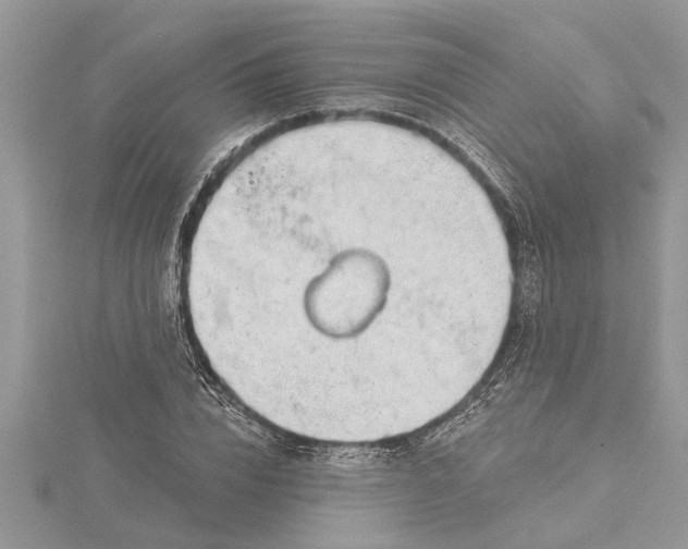 X0000115730832200912031404