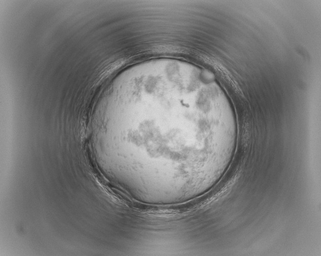 X0000115730833200912031404