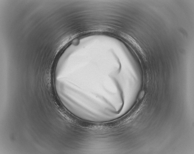 X0000115730834200912031405