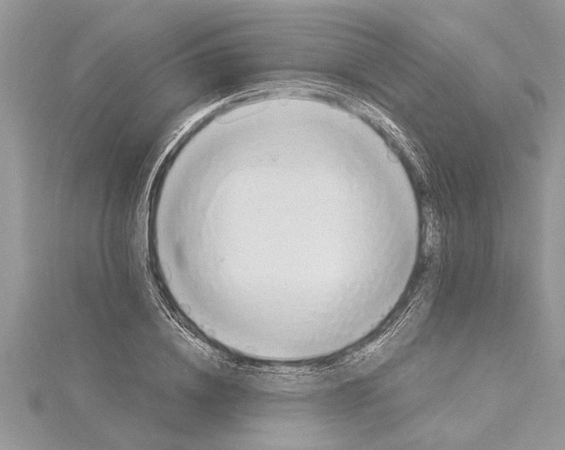 X0000115730836200912031405