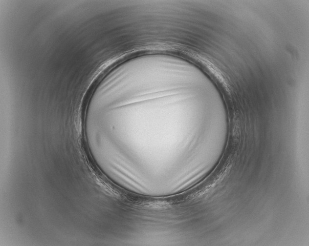 X0000115730837200912031405