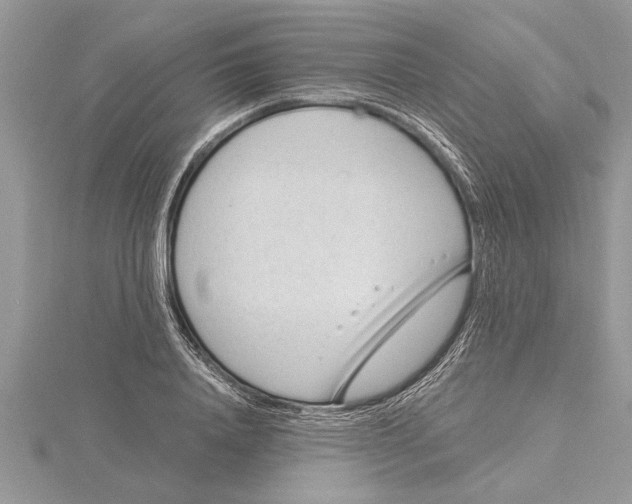 X0000115730840200912031405