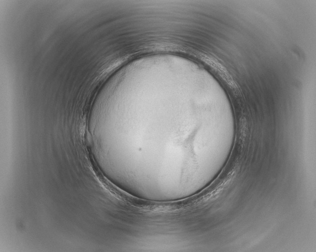 X0000115730841200912031405