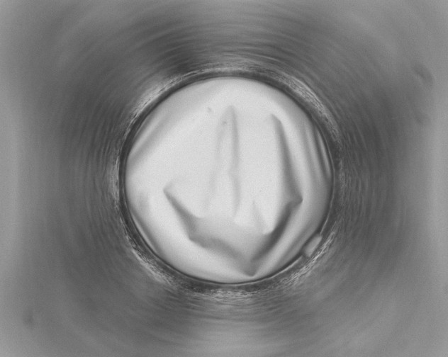 X0000115730842200912031405