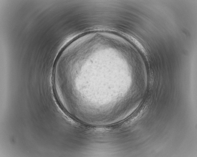 X0000115730847200912031405