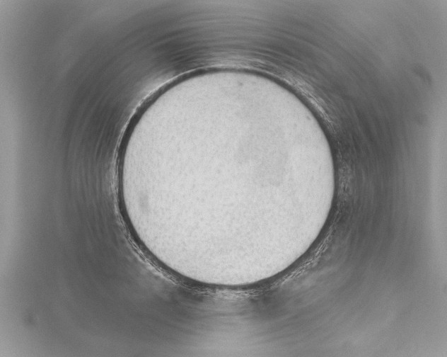 X0000115730848200912031405