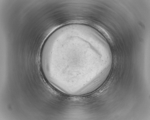 X0000115730852200912031405