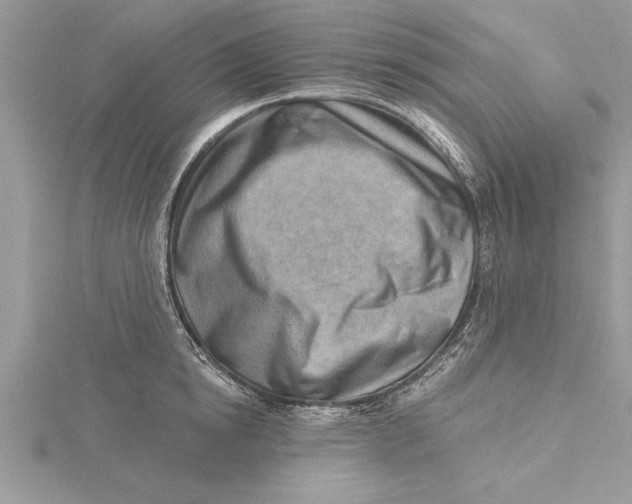 X0000115730854200912031405