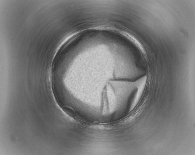 X0000115730855200912031405