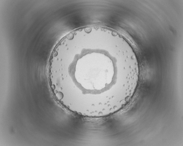 X0000115730856200912031405