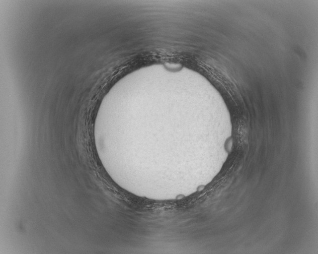 X0000115730865200912031404