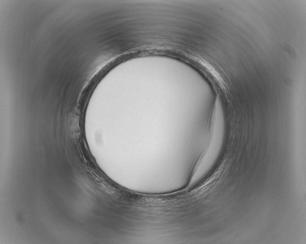 X0000115730878200912031404