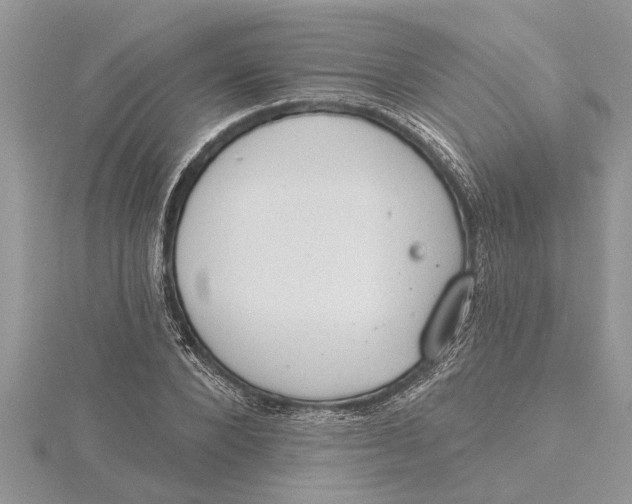 X0000115730880200912031404