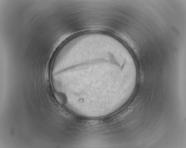 X0000115730883200912031404