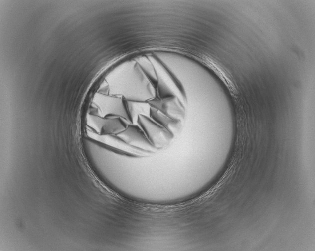 X0000115730884200912031404