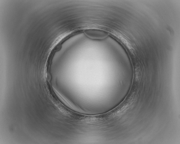 X0000115730885200912031404