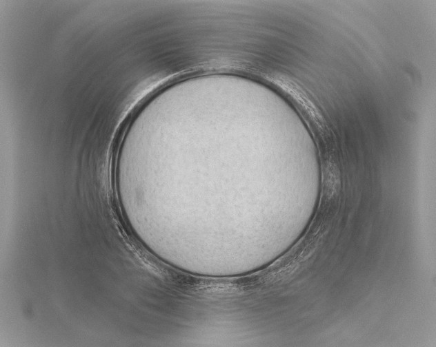 X0000115730886200912031404