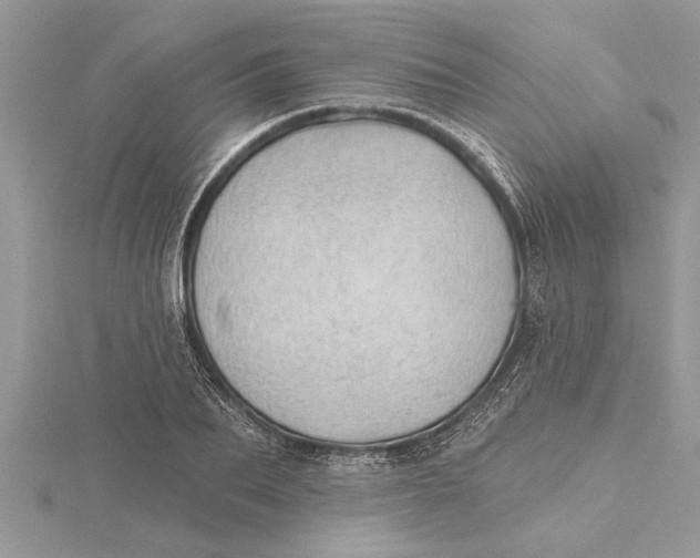 X0000115730887200912031404