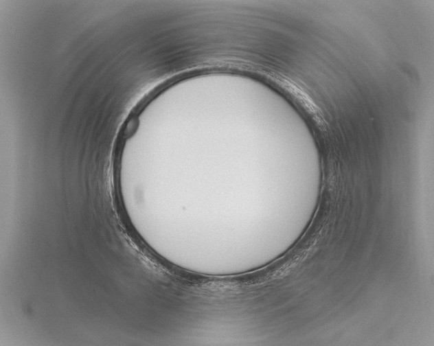 X0000115730888200912031404