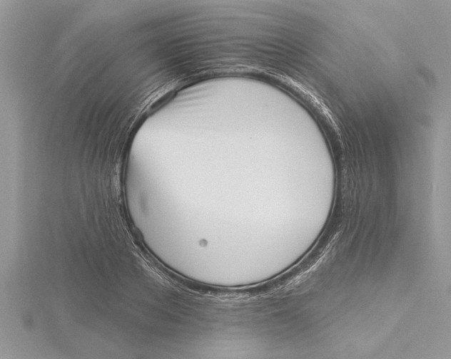 X0000115730889200912031404