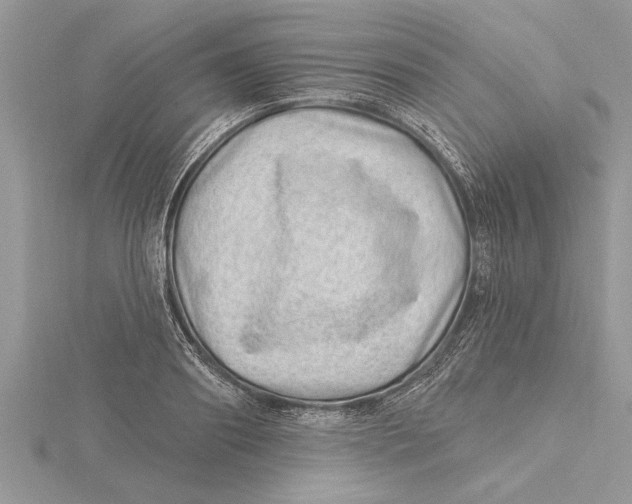 X0000115730890200912031404