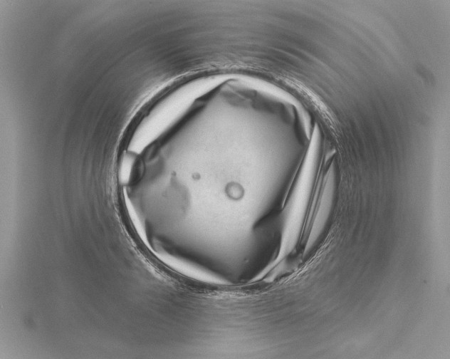 X0000115730894200912031404