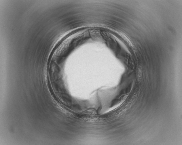 X0000115730895200912031404