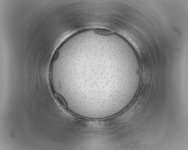 X0000115730901200912031404