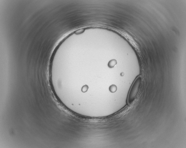 X0000115730904200912031404