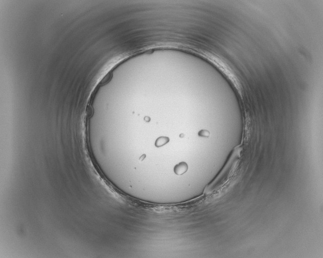 X0000115730906200912031404