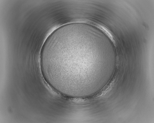 X0000115730907200912031404