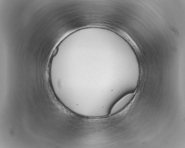 X0000115730908200912031404