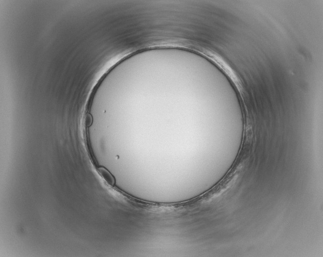 X0000115730909200912031404