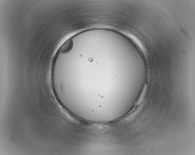 X0000115730910200912031404