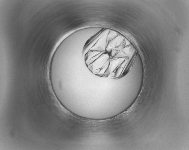 X0000115730912200912031404