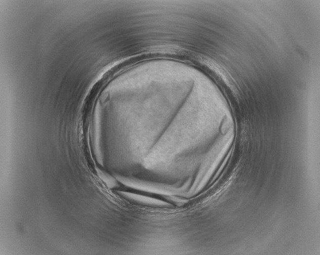 X0000115730923200912031403