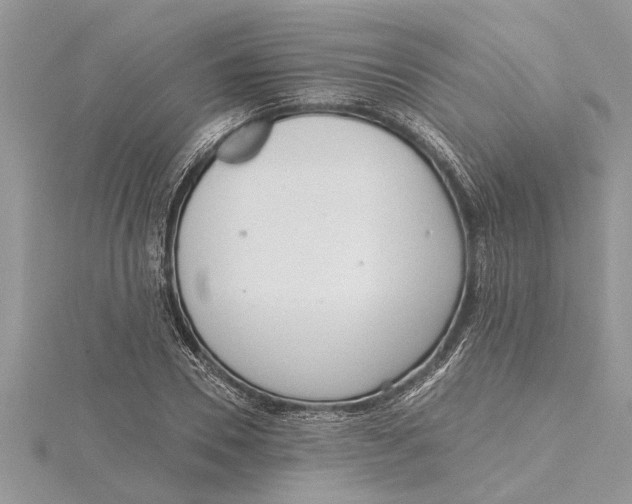 X0000115730930200912031403