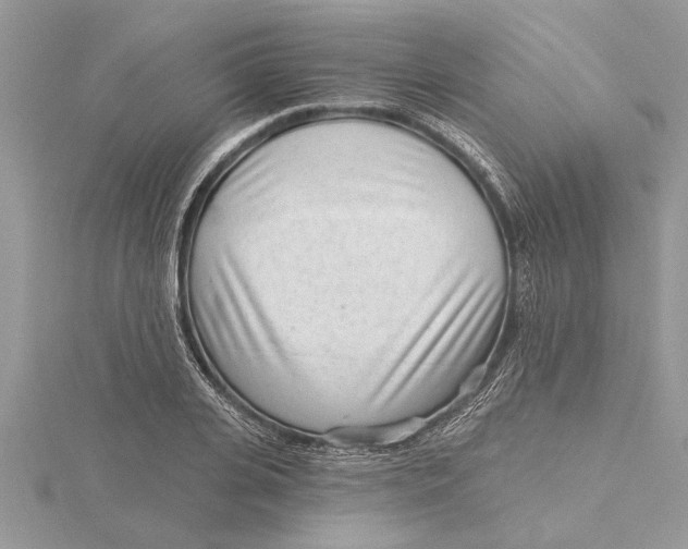 X0000115730935200912031403