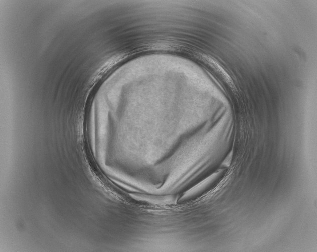 X0000115730938200912031403