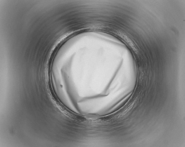 X0000115730939200912031403