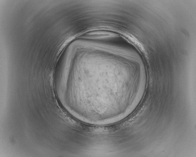 X0000115730945200912031403