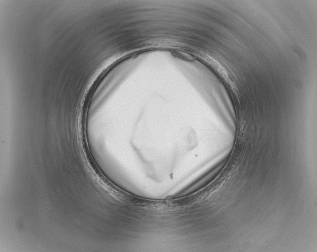 X0000115730947200912031403