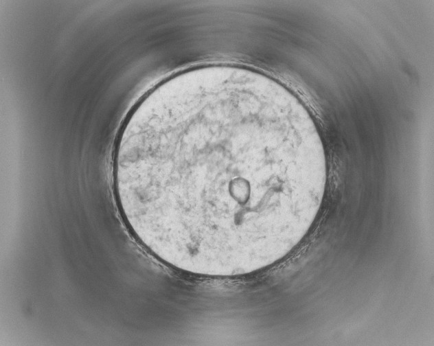 X0000115730950200912031403