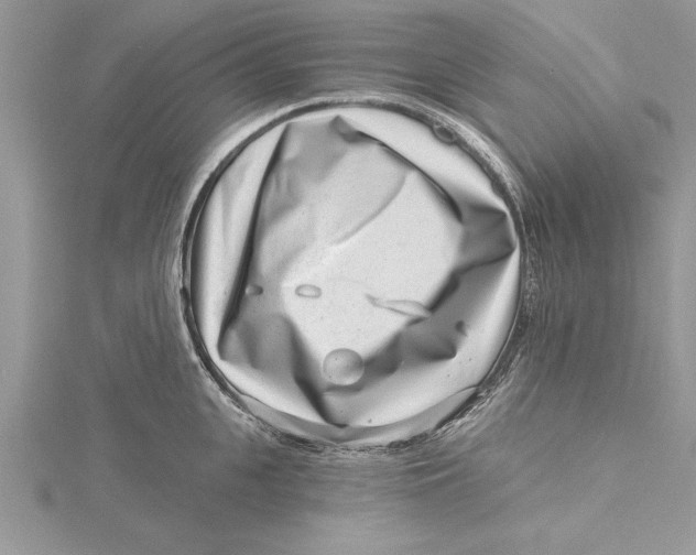 X0000115730951200912031403